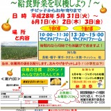 2805yakuwari