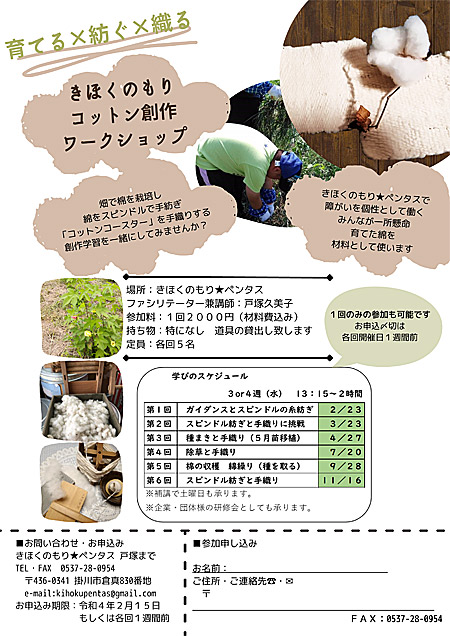 きほくのもりペンタス