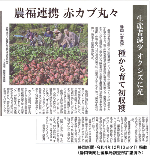 農福連携静岡新聞赤カブ