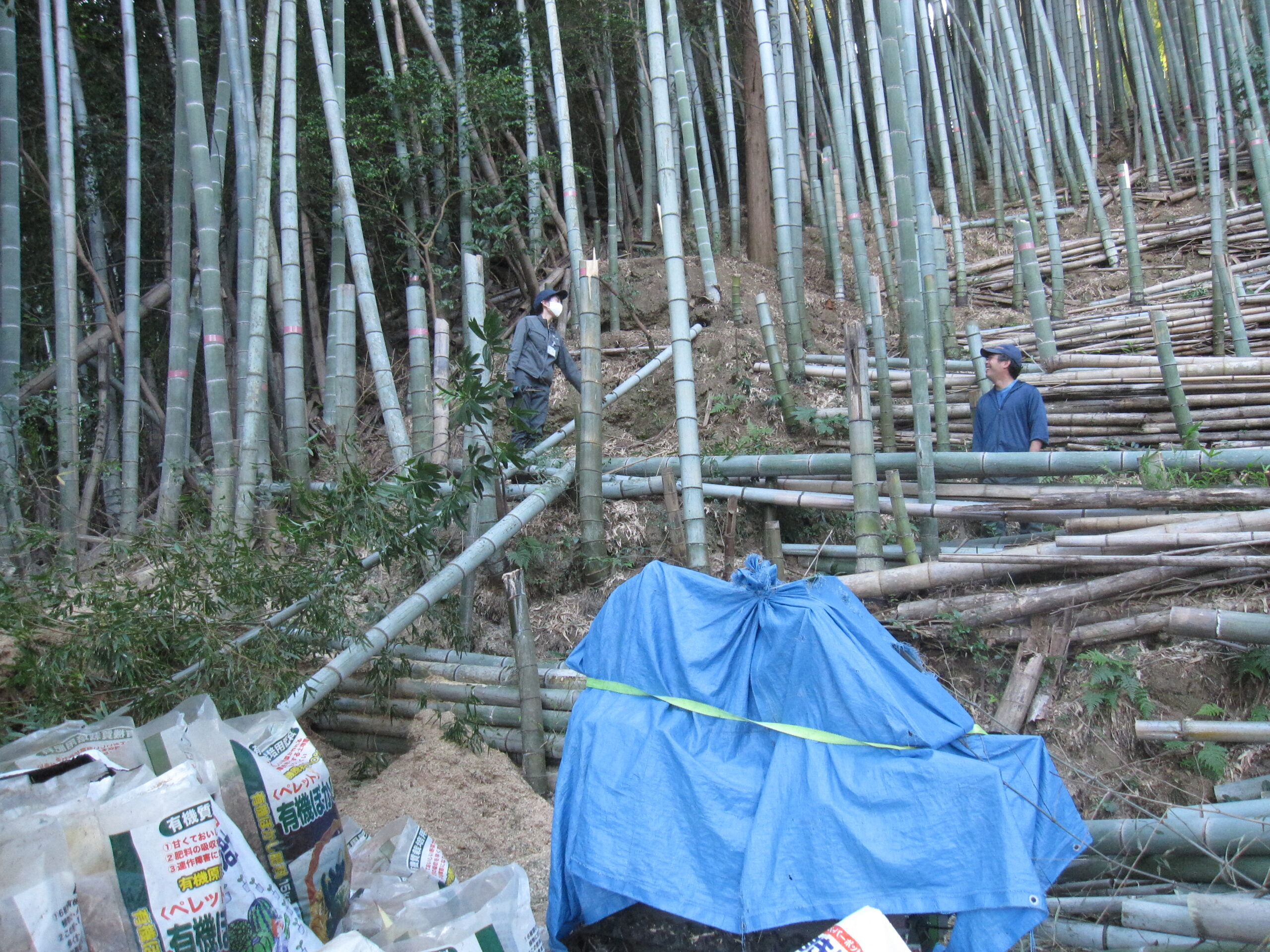 認定NPO法人 オールしずおかベストコミュニティ » たけのこの加工作業